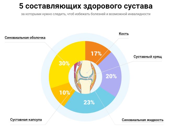 сибирское здоровье бальзам живокост для суставов